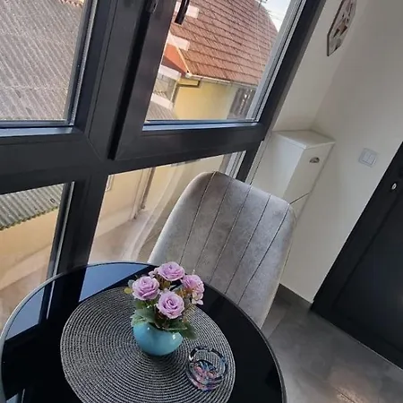 Apartament Magic House